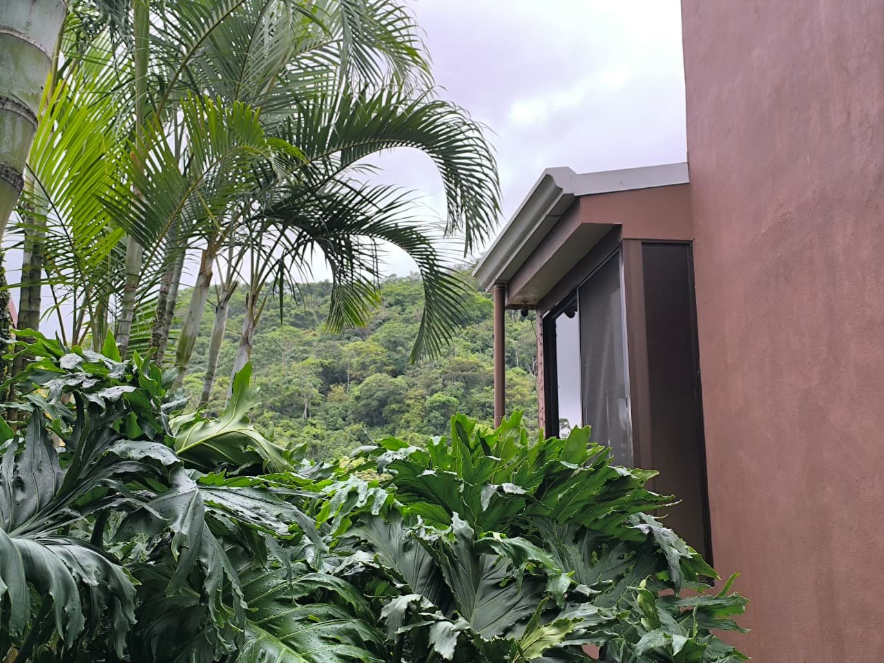 Vista natural desde el jardín